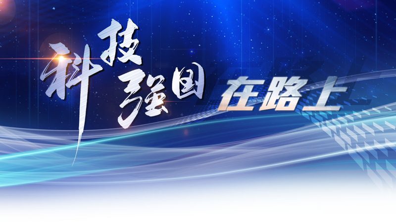大连信息科技有限公司