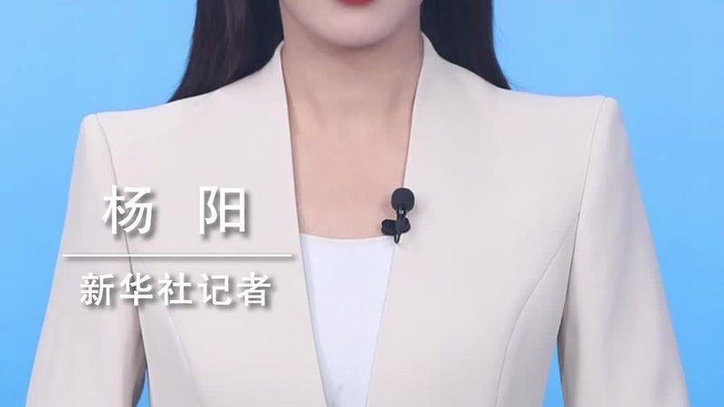 智能客服平台的安装流程详解：关键步骤与注意事项**
